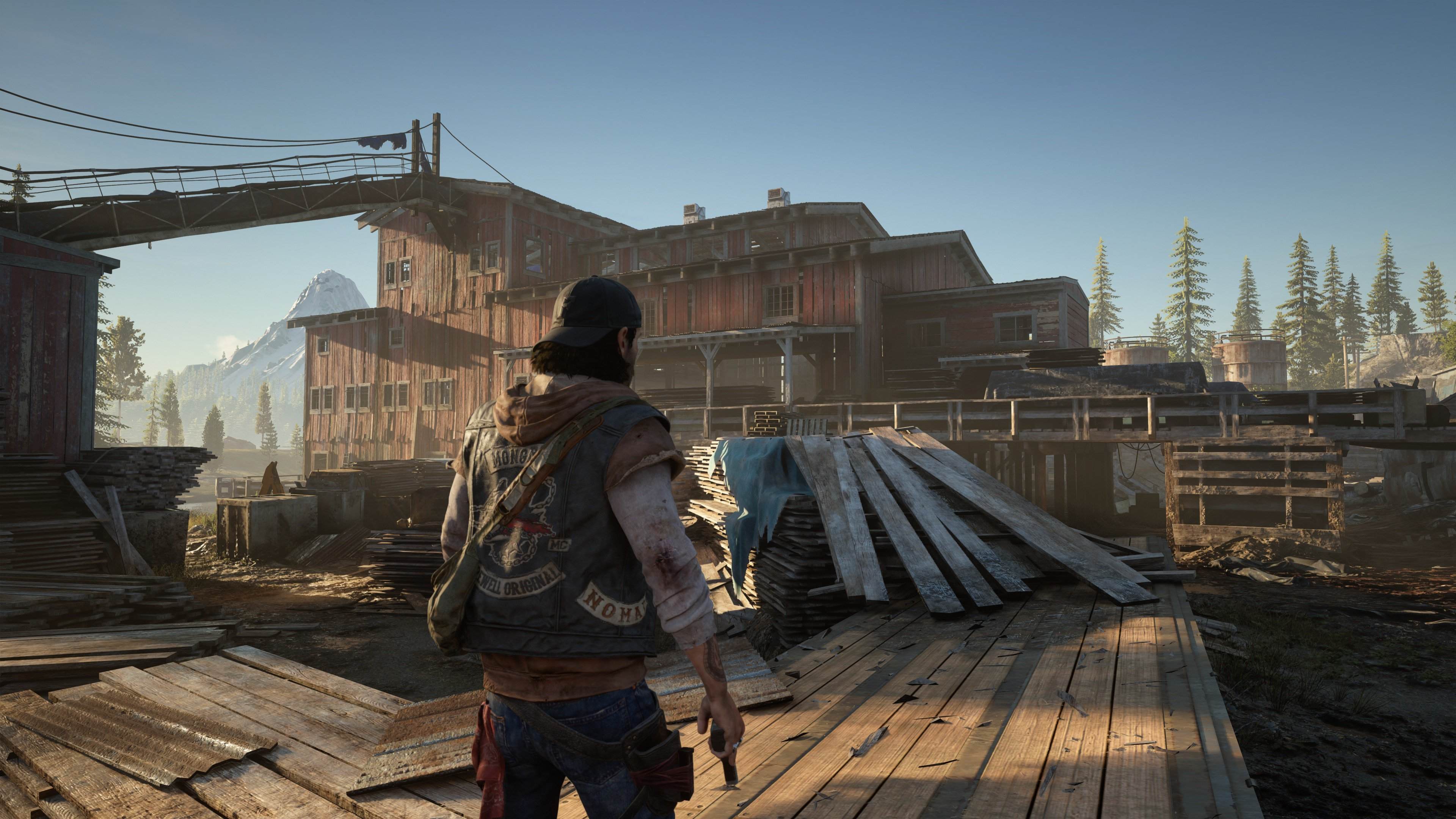 Days Gone - Imagen 2